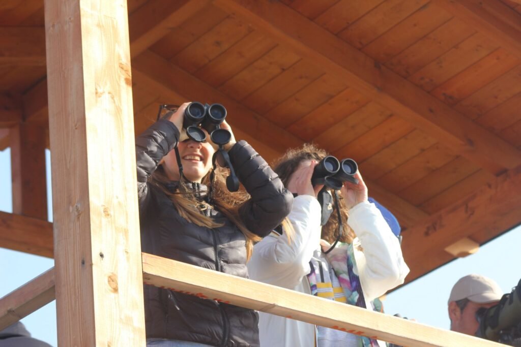 Bird Watching in Albania Birdwatching Albania