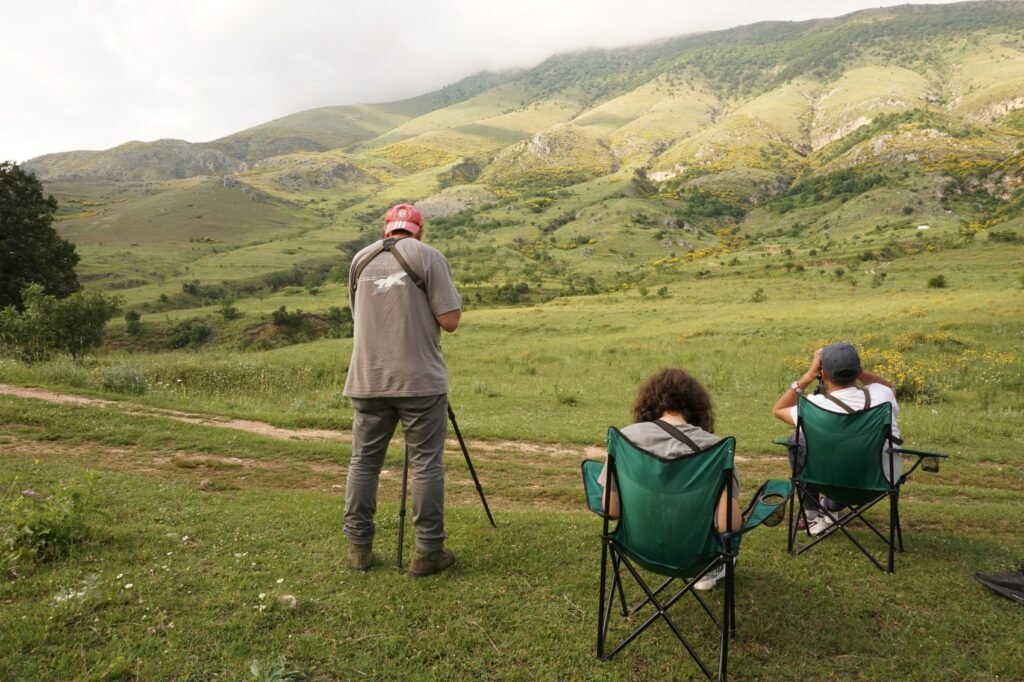 birdwatching Albania
