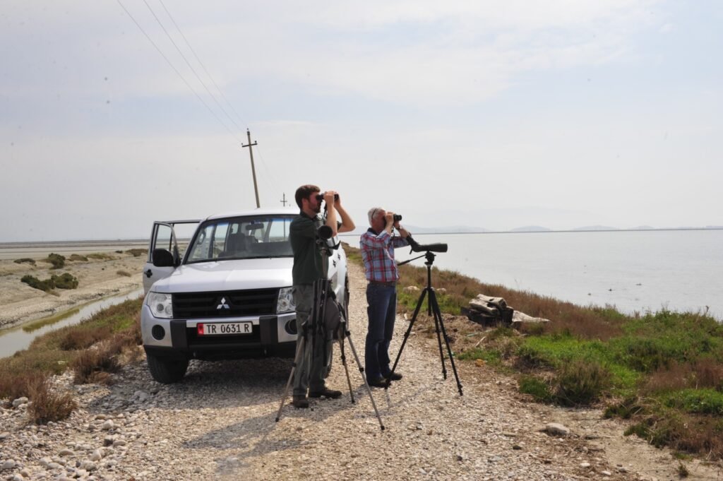 _DSC9750 (1) Birding Albania