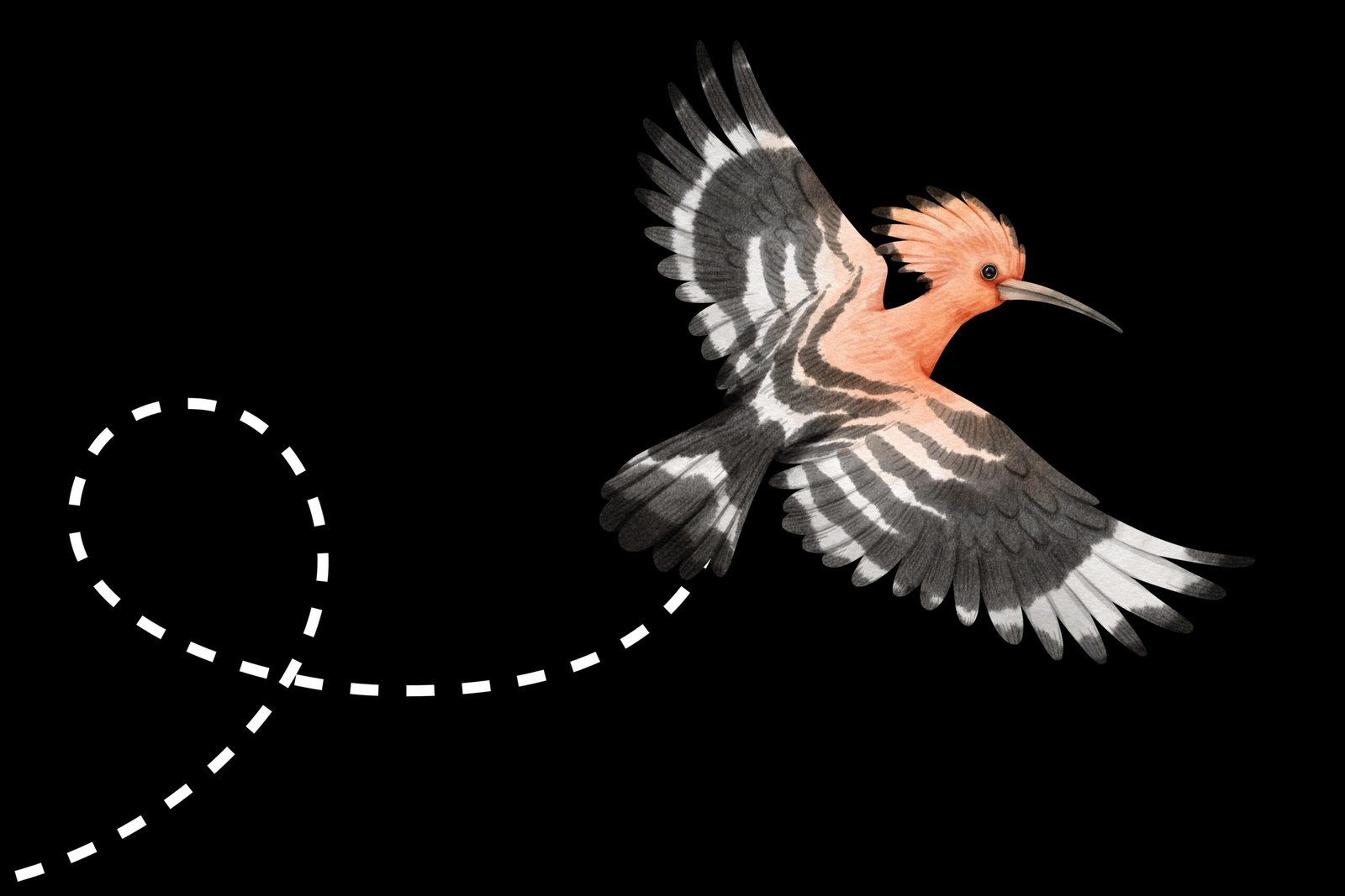 Birdwatching Albania