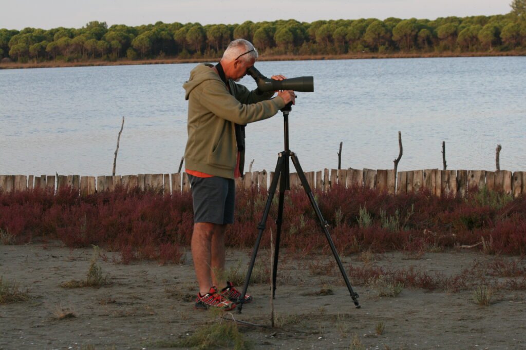 birdwatching Albania Bird Watching Tours
